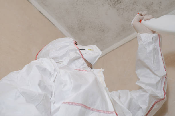 Best Toxic Mold Removal  in Germantown, WI