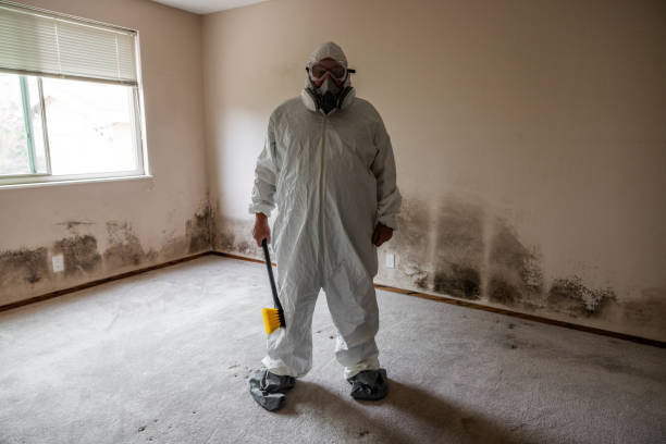 Certified Mold Removal in Germantown, WI