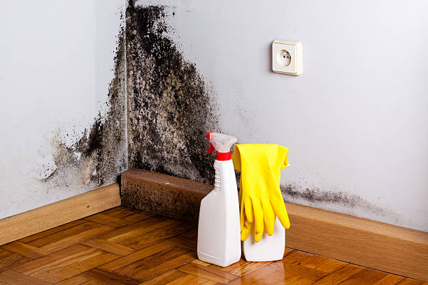 Attic Mold Removal in Germantown, WI