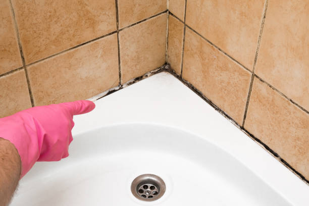 Best Emergency Mold Removal  in Germantown, WI
